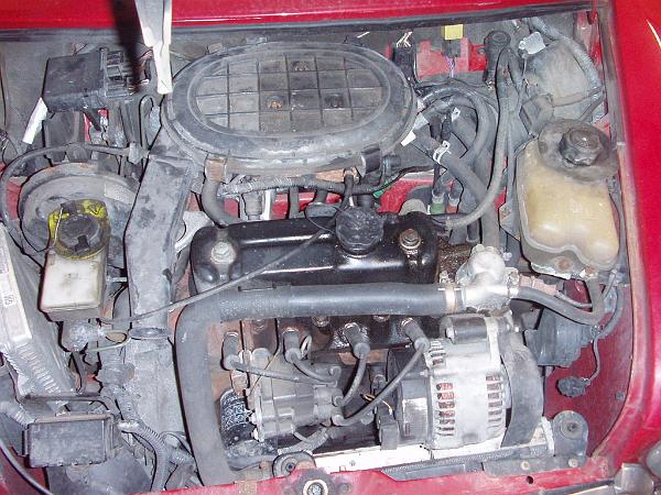 first lot of photos 126